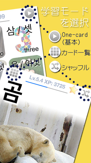 LingoCards 会話帳04